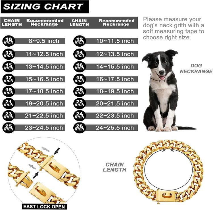 No. 10 - Gold Dog Chain Collar - 5