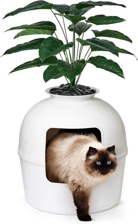 No. 6 - Secret Litter Box - 1