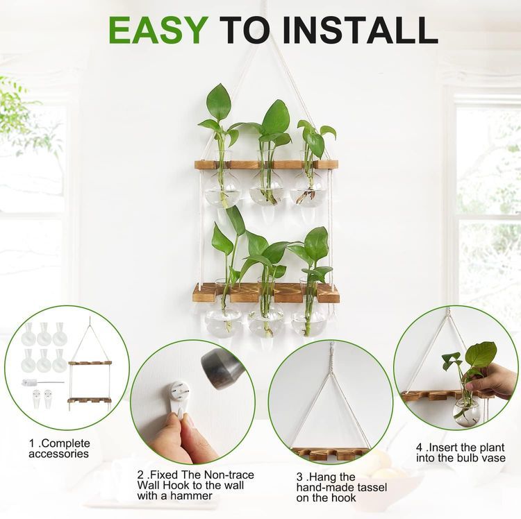 No. 5 - Wall Hanging Planter Terrarium - 4