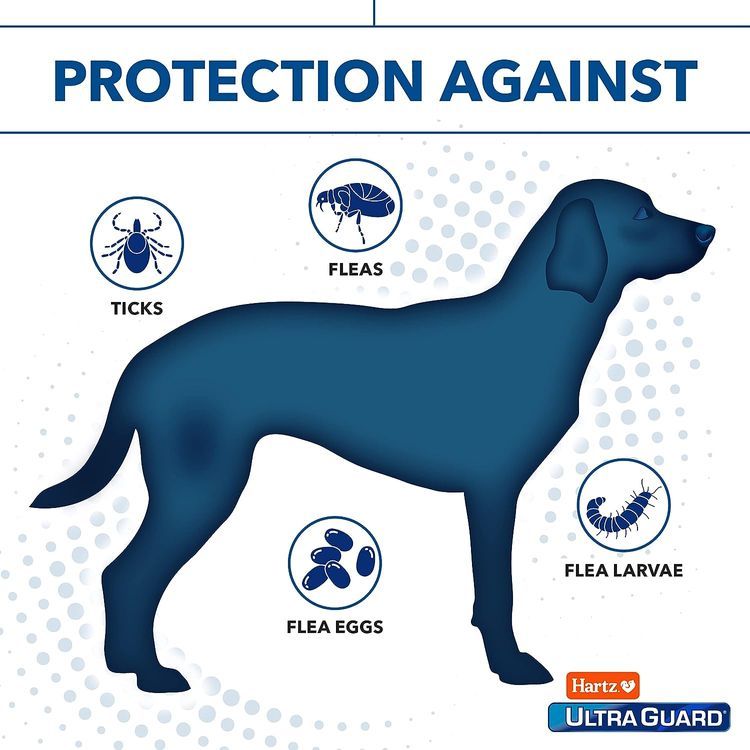 No. 8 - Hartz UltraGuard Plus Reflective Orange Collar - 4
