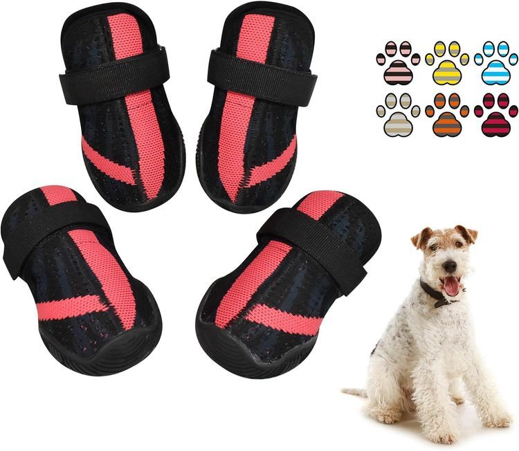 No. 8 - XSY&G Dog Shoes - 1