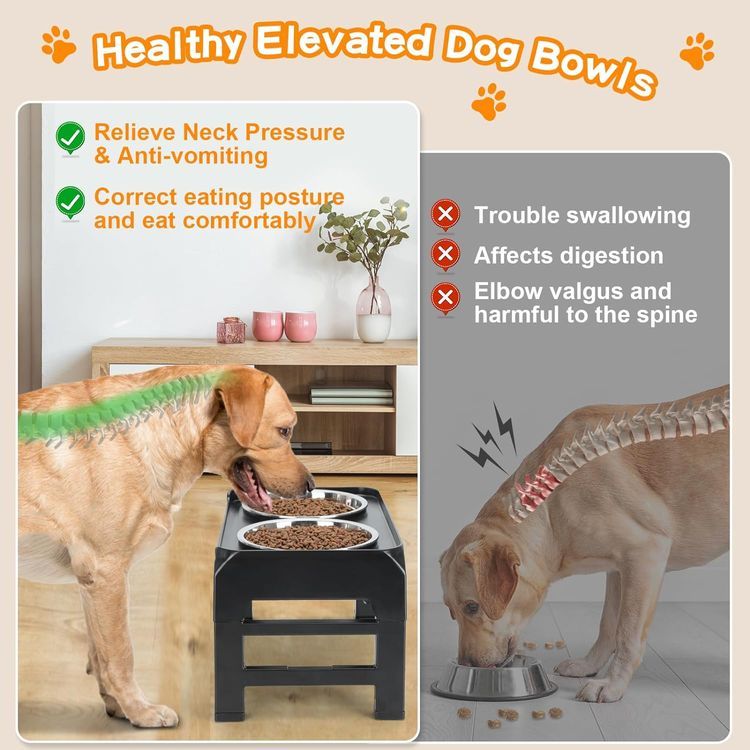 No. 5 - Adjustable Height Dog Bowl Stand - 3