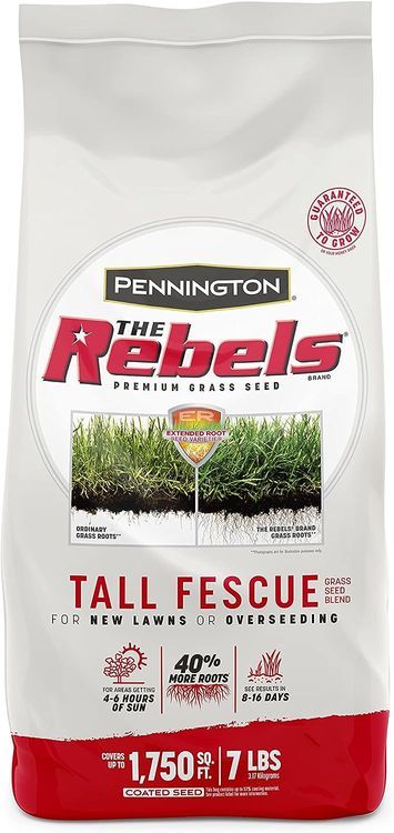 No. 7 - Pennington The Rebels Tall Fescue - 1