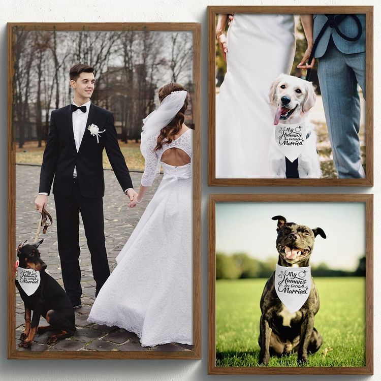 No. 3 - Dzmodz Wedding Dog Bandana - 3