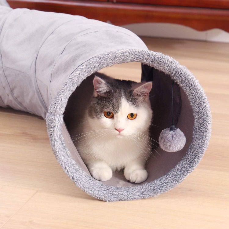 No. 6 - PAWZ Road Cat Tunnel - 3