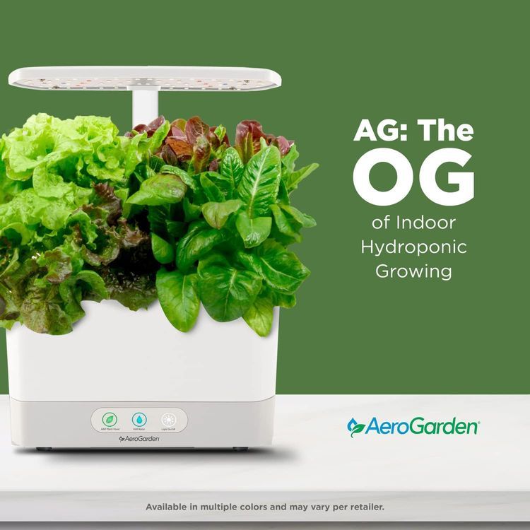 No. 5 - AeroGarden Harvest - 4