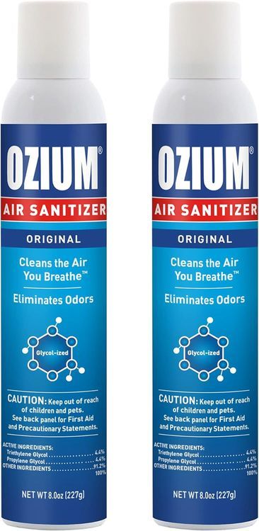 No. 6 - Ozium Air Sanitizer - 1