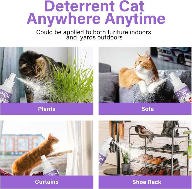 No. 10 - Cat Deterrent Spray - 4