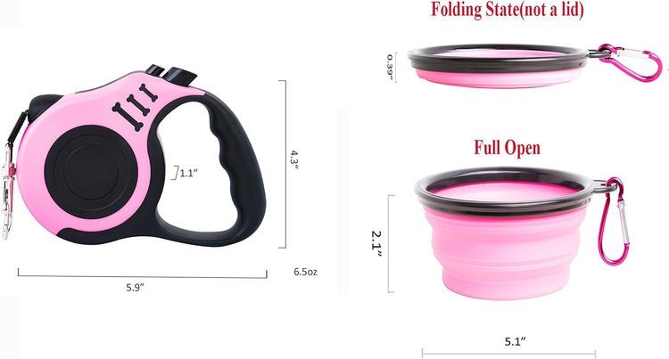 No. 10 - Retractable Leash - 5