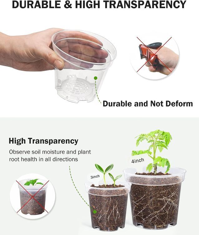 No. 4 - Homenote Clear Nursery Pots - 2