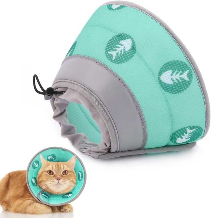 No. 7 - Supet Cat Recovery Collar - 1