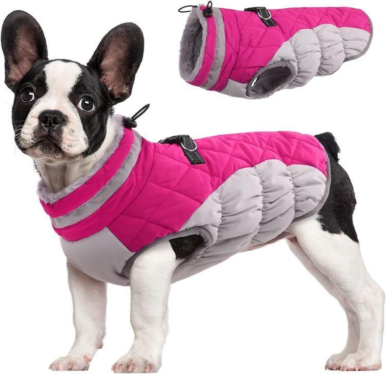 No. 6 - FUAMEY Dog Cold Weather Coat - 1