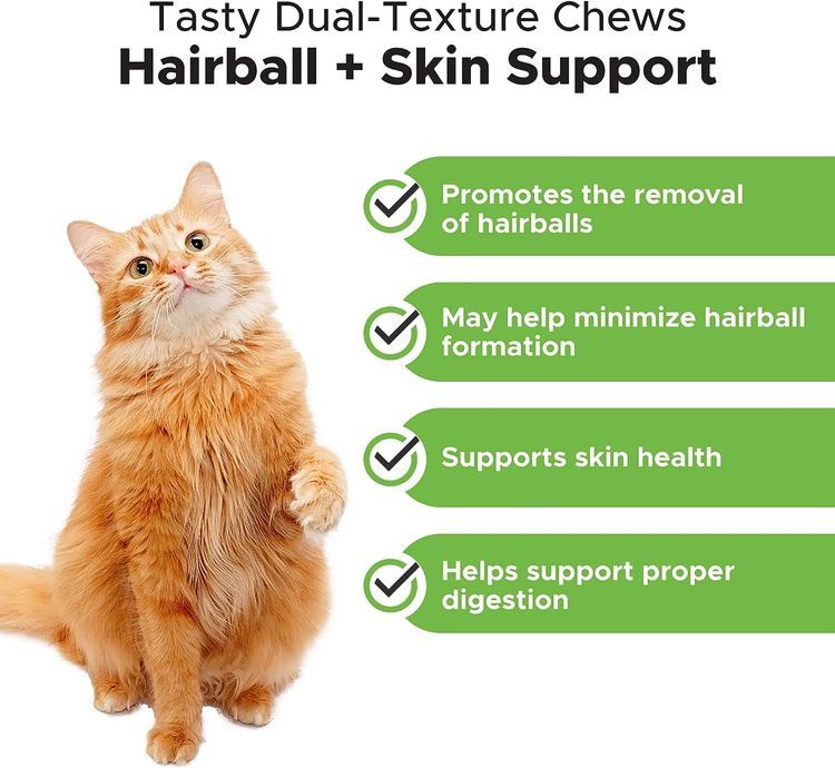 No. 1 - Pet Honesty Hairball Support - 5