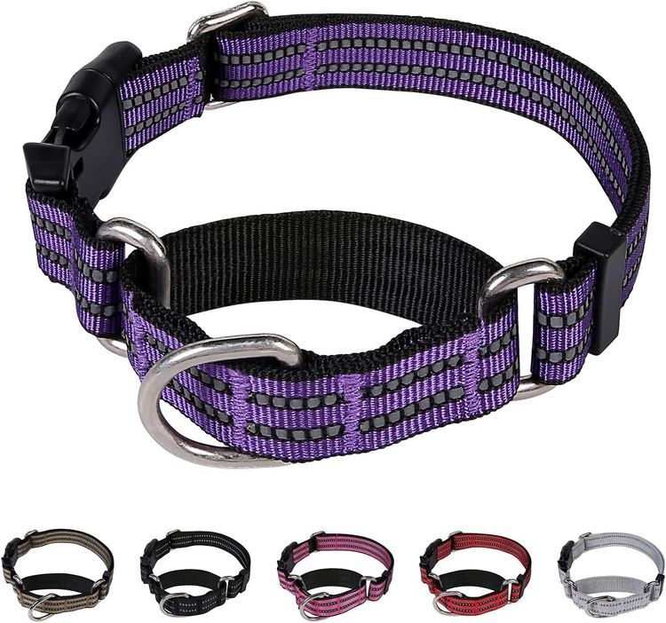 No. 3 - Martingale Dog Collars - 1