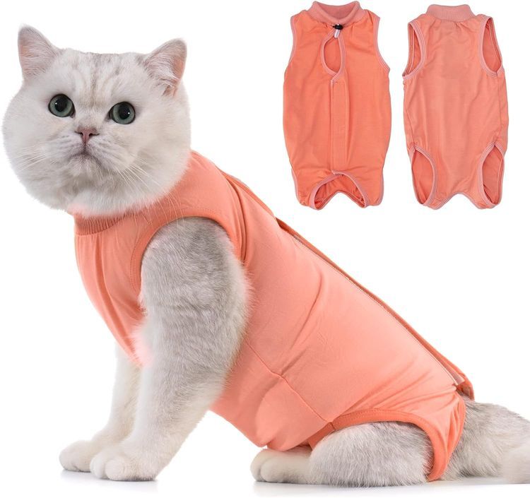 No. 5 - Avont Cat Recovery Suit - 1