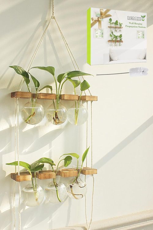 No. 5 - Wall Hanging Planter Terrarium - 1