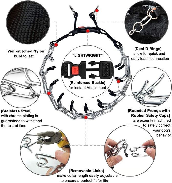 No. 4 - No Pull Dog Collar - 2