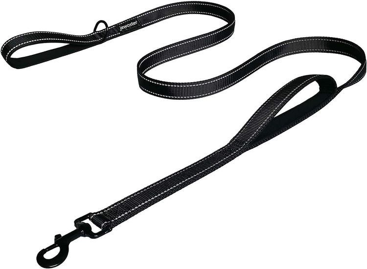 No. 5 - Heavy Duty Dog Leash - 1