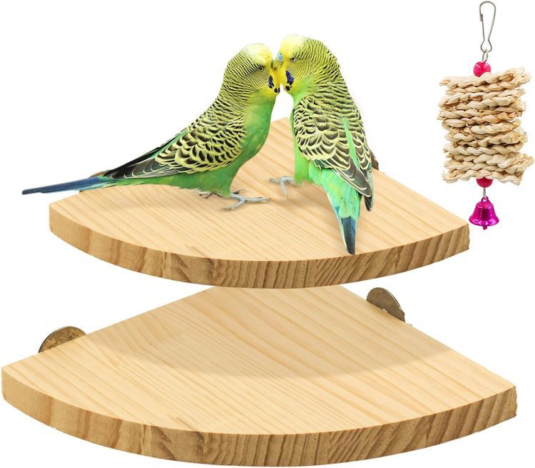 No. 6 - Bird Perch Platform - 1