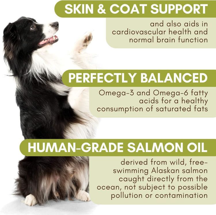 No. 9 - Wholistic Pet Organics Salmon Oil - 2