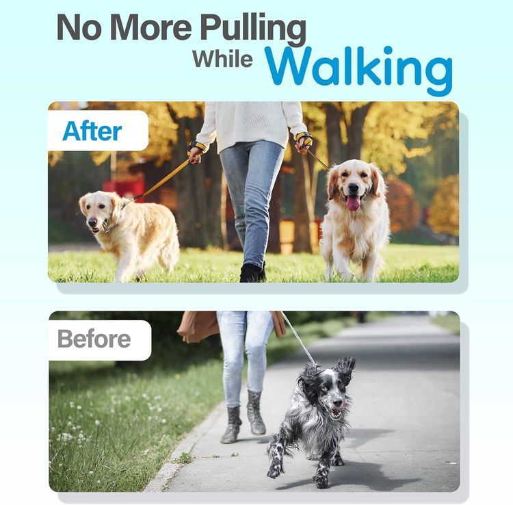 No. 1 - Supet Dog Prong Collar - 2
