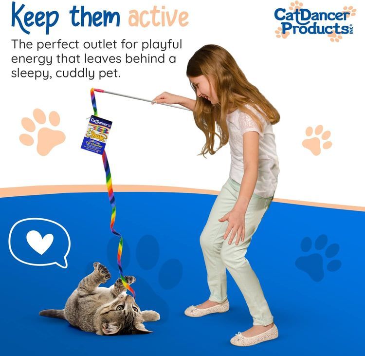 No. 5 - Cat Dancer Products Rainbow Cat Charmer - 5