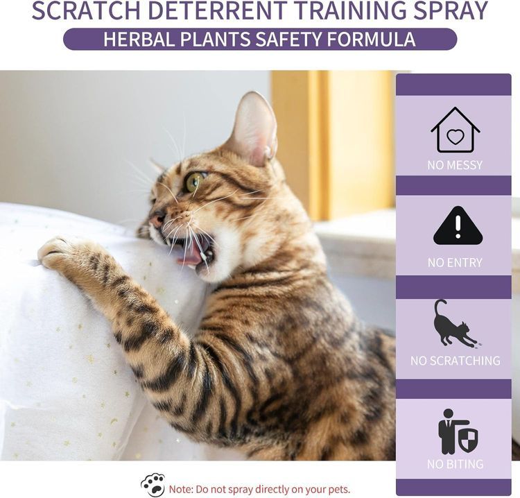 No. 7 - Cat Deterrent Spray - 4