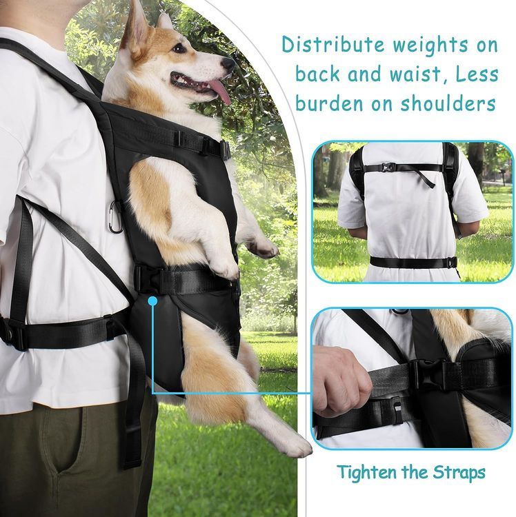 No. 8 - Pet Front Dog Carrier Backpacks - 3