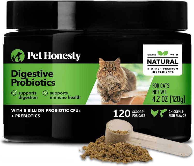 No. 4 - Pet Honesty Digestive Probiotics Max Strength for Cats Supplement - 1