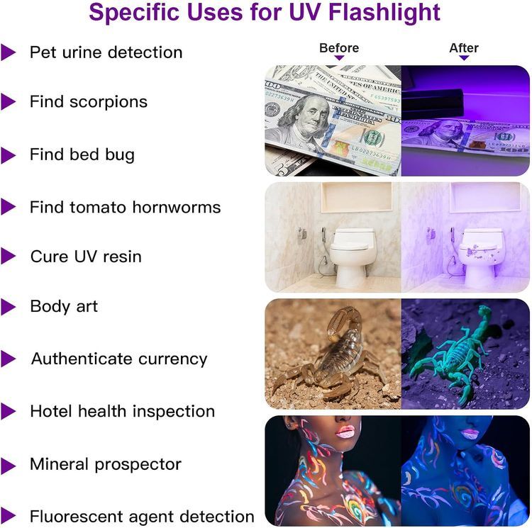 No. 3 - COSOOS UV Flashlight - 2