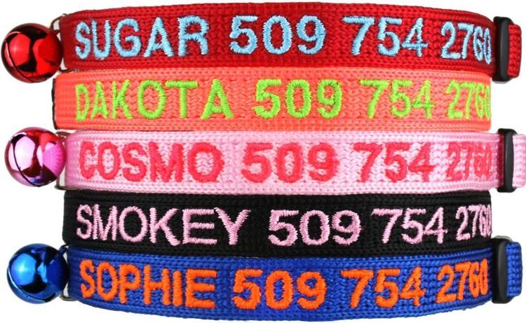 No. 10 - GoTags Personalized Breakaway Cat Collar - 1