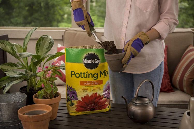 No. 3 - Miracle-Gro Potting Mix - 4