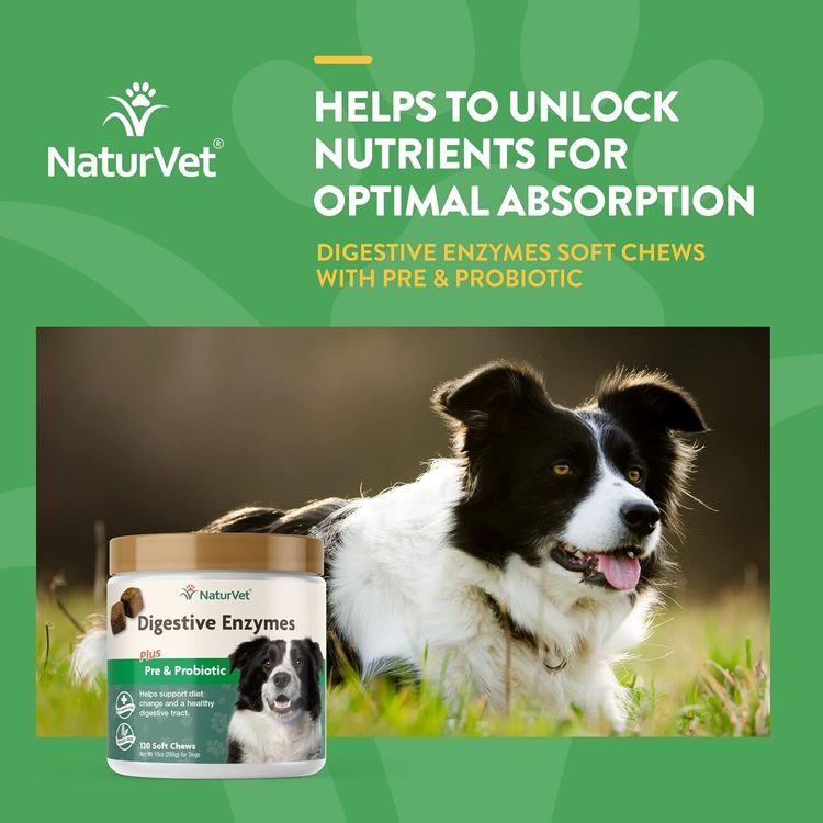 No. 7 - Digestive Enzymes for Dogs and Cats - 2