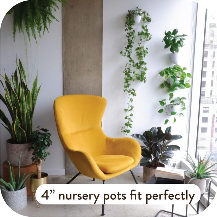 No. 2 - Virgo Self-Watering Wall Planters - 5