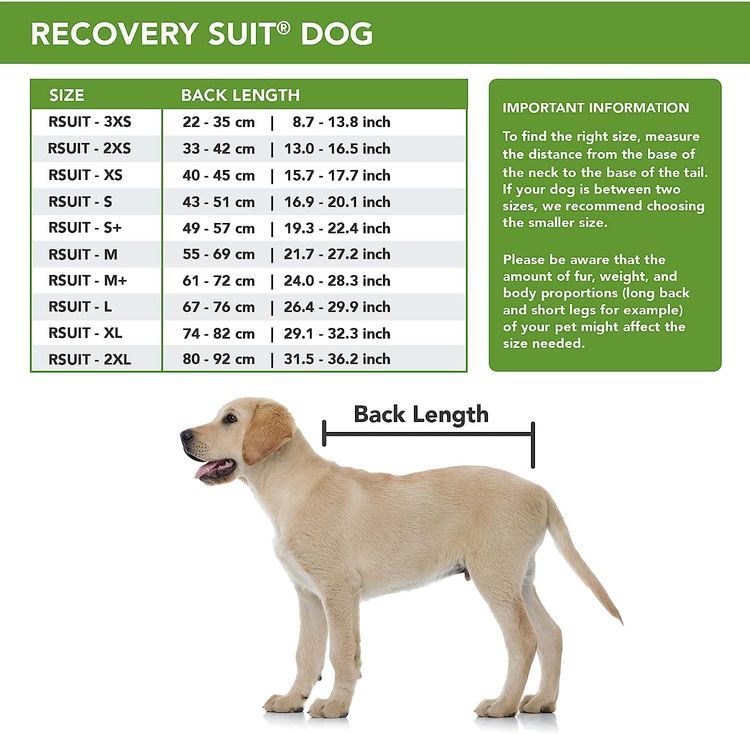 No. 8 - Suitical Recovery Suit Dog - 5