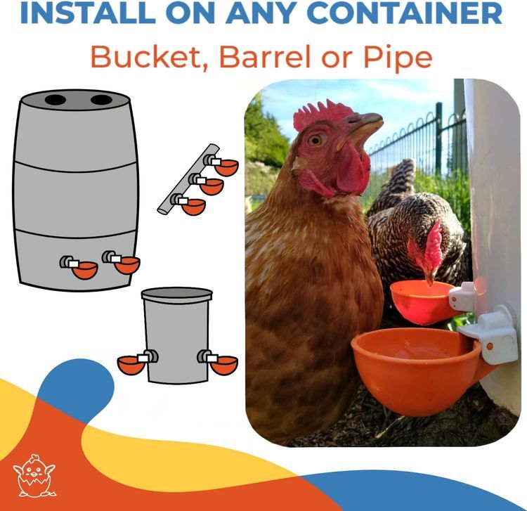 No. 2 - Lil'Clucker Poultry Waterer - 5