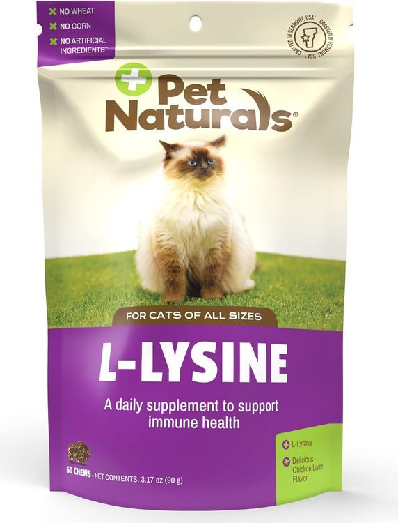 No. 10 - Lysine Immune Booster for Cats - 1