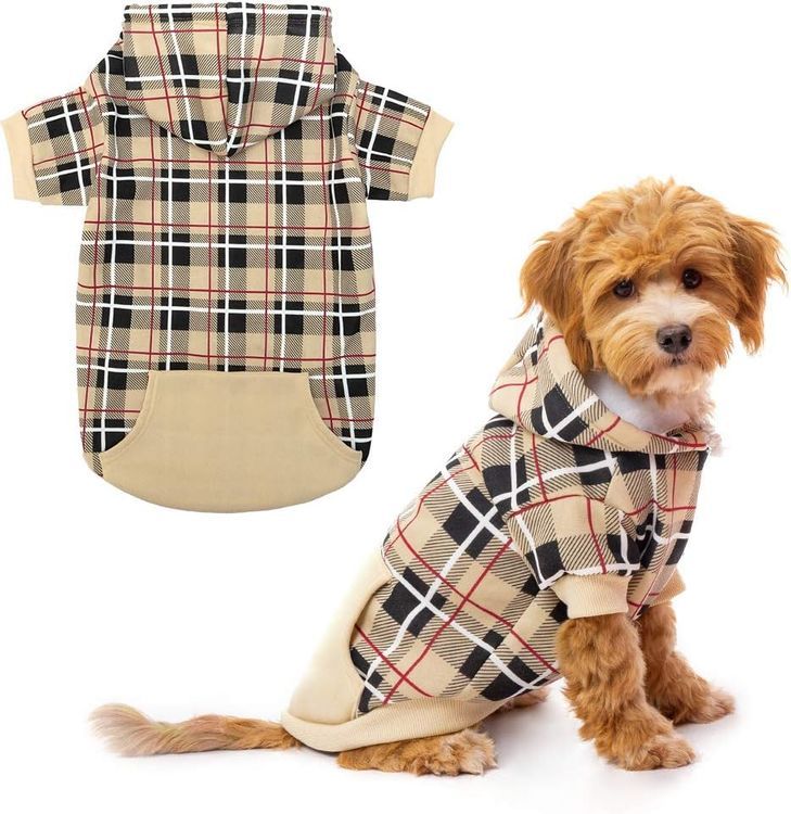 No. 5 - EXPAWLORER Dog Hoodie - 1