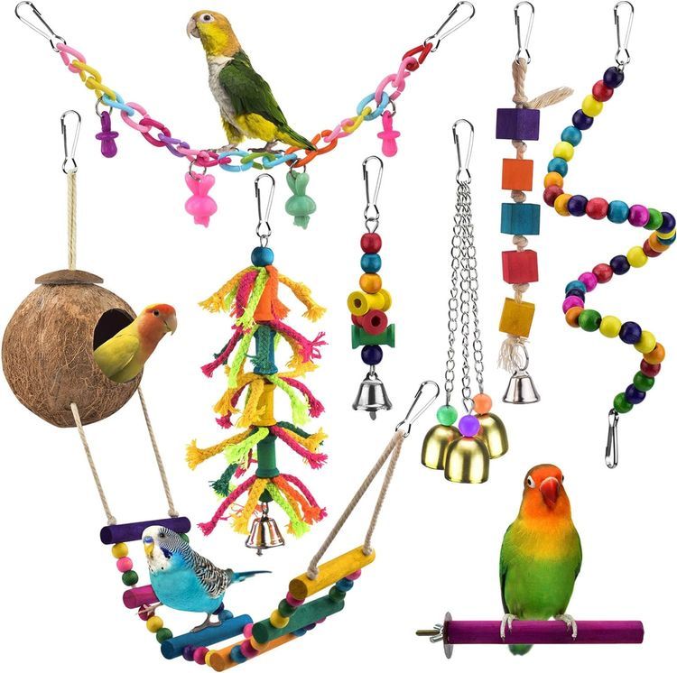 No. 5 - KATUMO Bird Coconut House and Chew Toys - 1