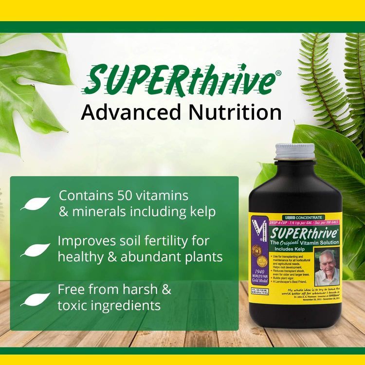 No. 6 - SUPERthrive Plant Food - 2