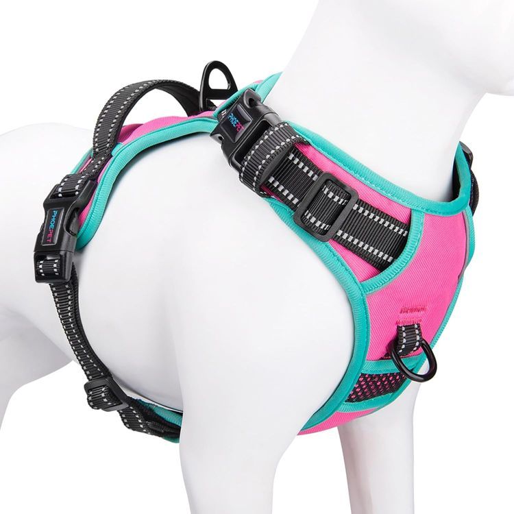 No. 10 - PHOEPET No Pull Dog Harness - 1