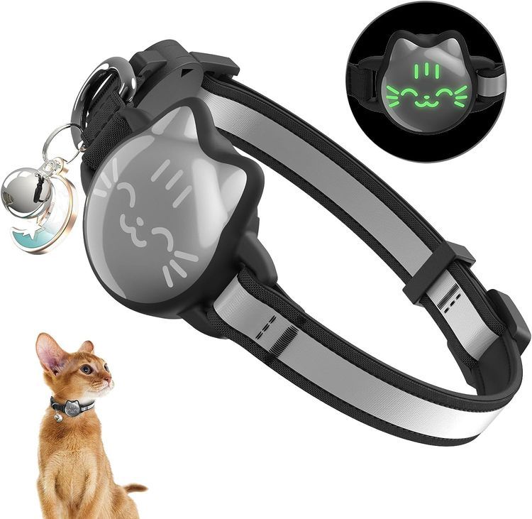 No. 6 - Cat Collar with Airtag Holder - 1