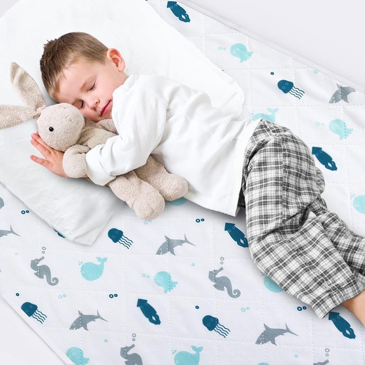 No. 9 - SPRINGSPIRIT Potty Training Bed Pad - 1