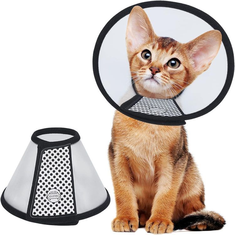 No. 10 - Vivifying Cat Cone - 1