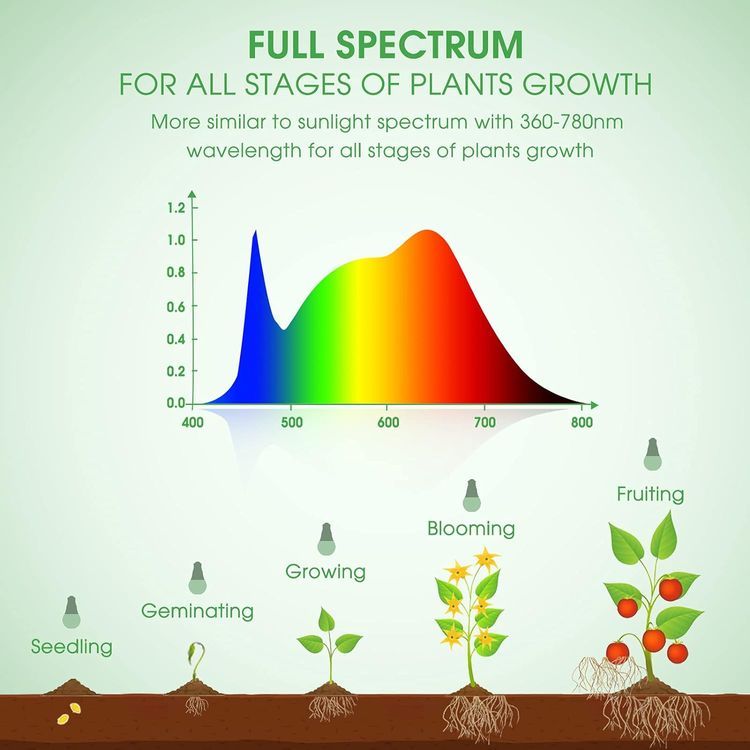 No. 5 - Briignite Grow Light Bulbs - 4