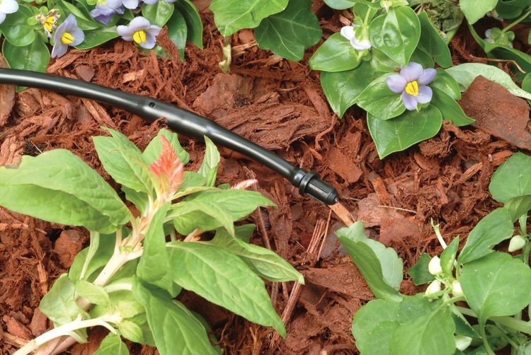 No. 6 - Rain Bird TP25/10PS Drip Irrigation Tubing 'Goof' Plug - 2