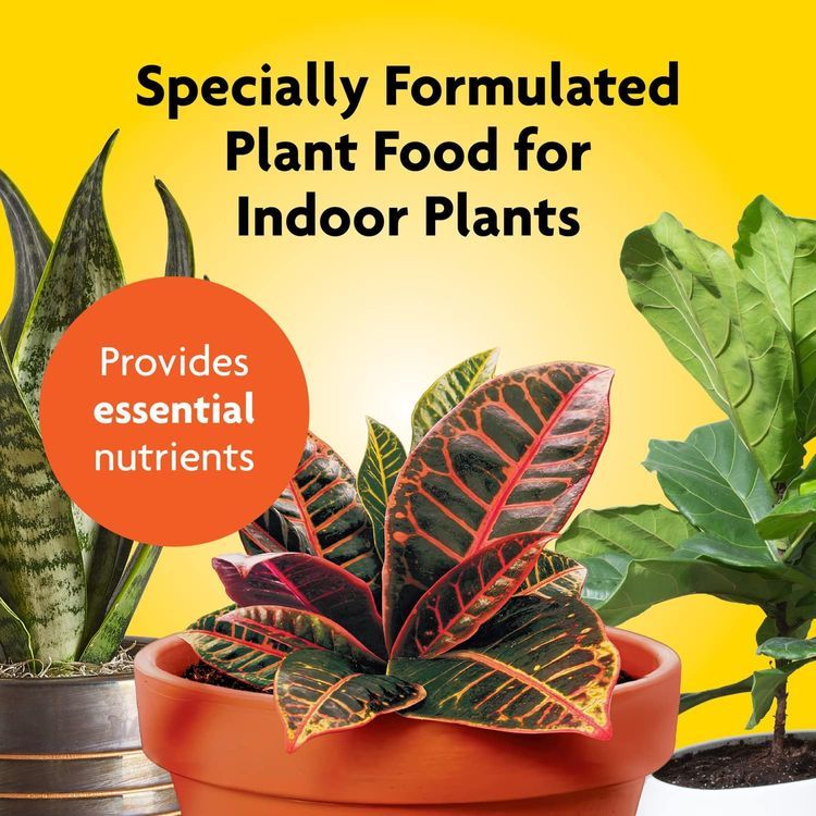 No. 4 - Miracle-Gro Indoor Plant Food - 3