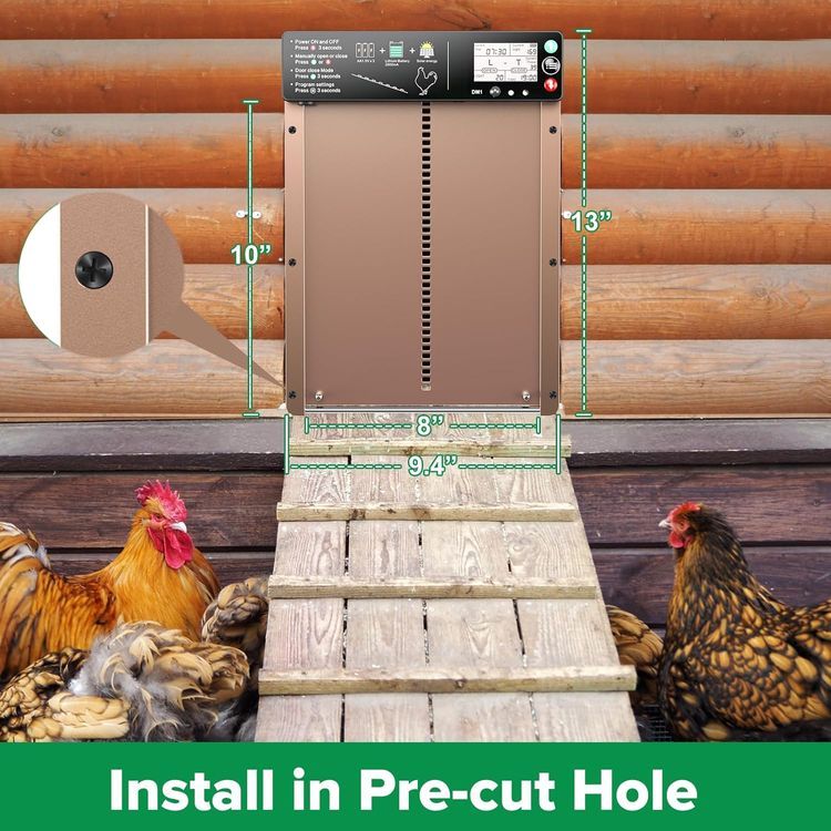 No. 9 - Automatic Chicken Coop Door - 4