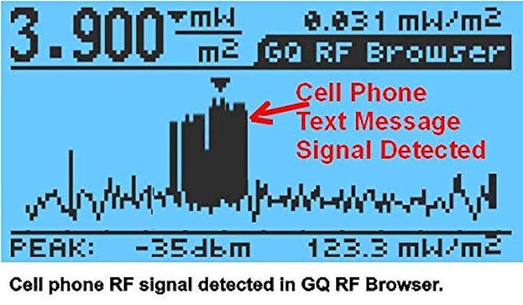 No. 8 - GQ EMF-390 - 4