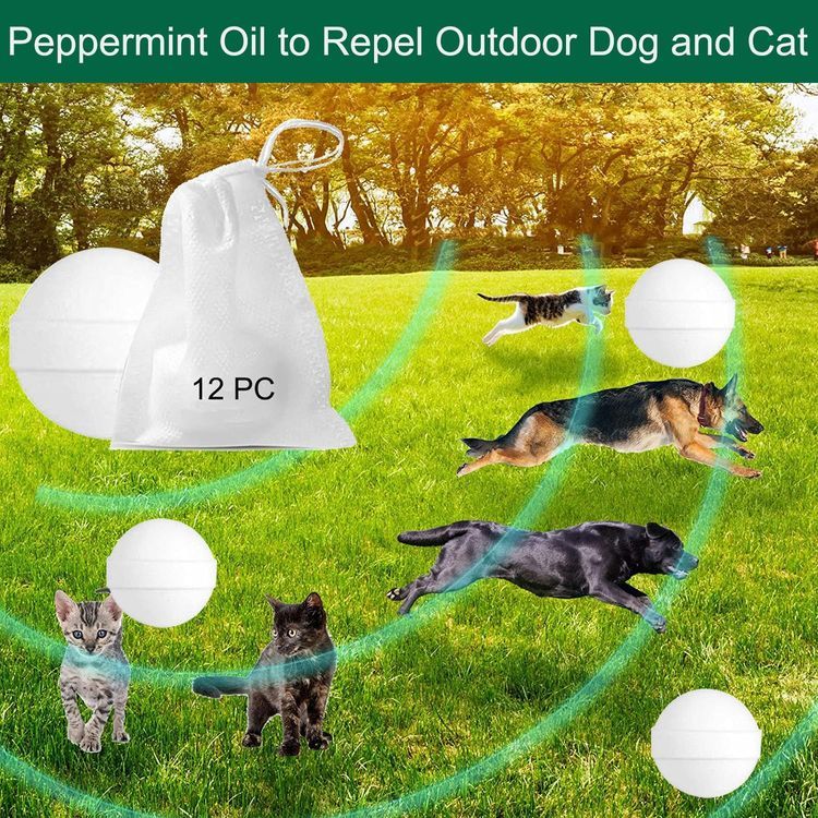 No. 8 - Daioloes Cat Repellent Spray - 4
